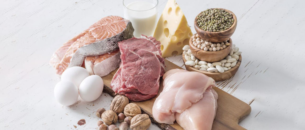 Alimentos ricos en proteínas para el entrenamiento muscular