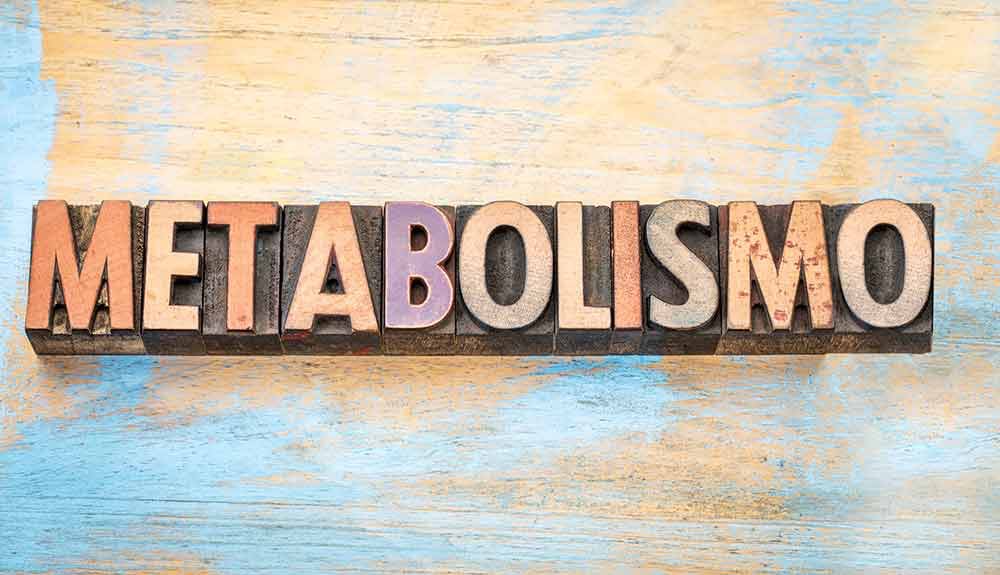 ¿Qué efectos tiene el entrenamiento muscular en el metabolismo?