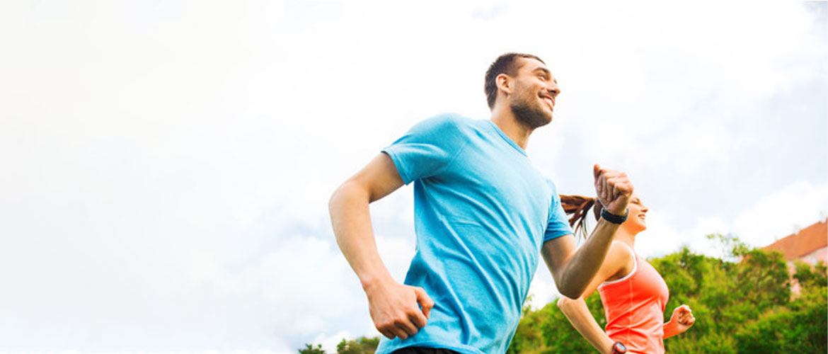 Sistema cardiovascular: el corazón marca el ritmo