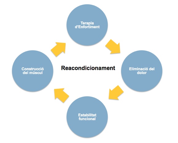 Reacondicionament dels músculs profunds de l’esquena