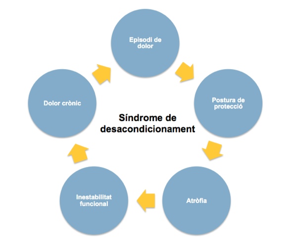Síndrome de desacondicionament físic, “un cercle viciós”