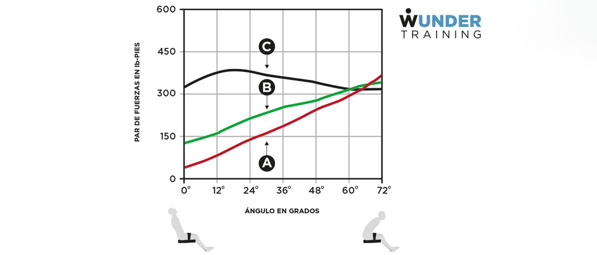 Curvas de fuerza: su importancia en un programa de entrenamiento