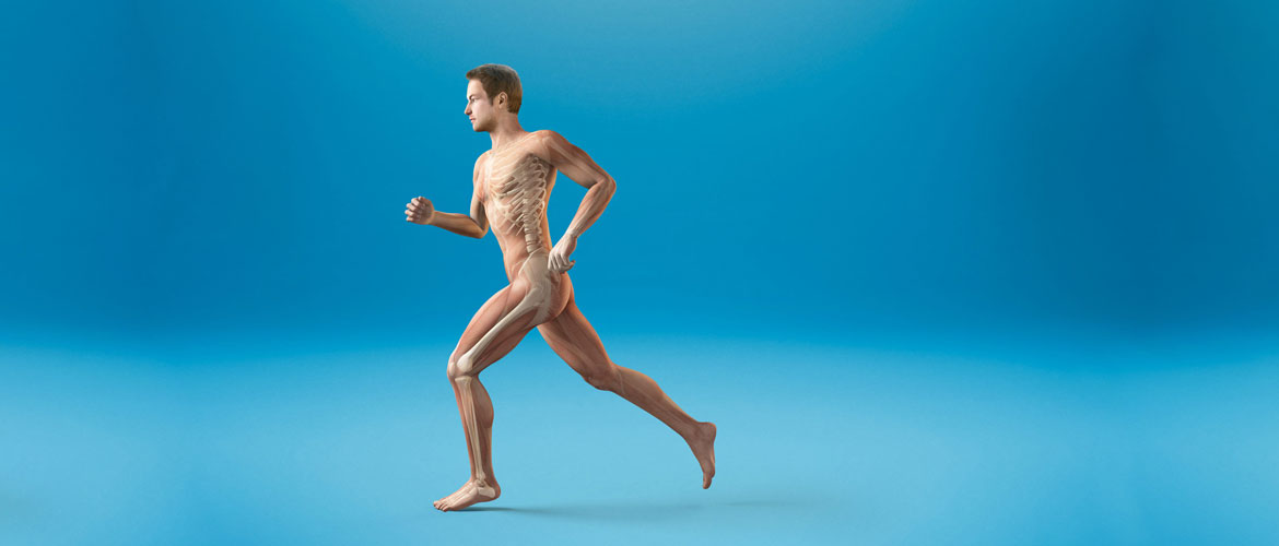 10 curiosidades del cuerpo humano y de nuestros musculos