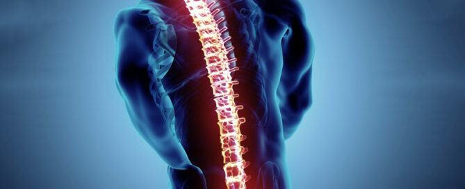 Anatomía de la columna vertebral y funciones