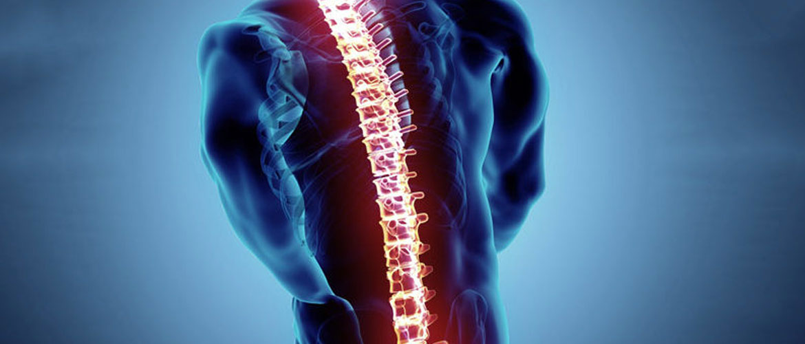 Anatomía de la columna vertebral y funciones
