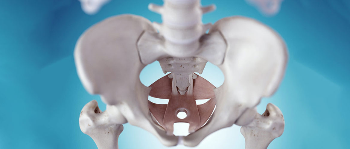 De qué hablamos cuando hablamos de suelo pélvico