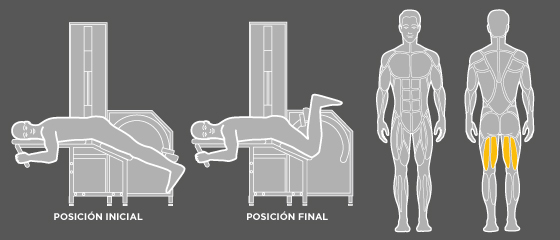 Ejercicios flexión de piernas boca abajo