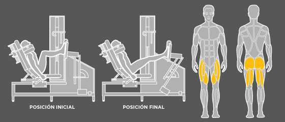 Ejercicios prensa de piernas