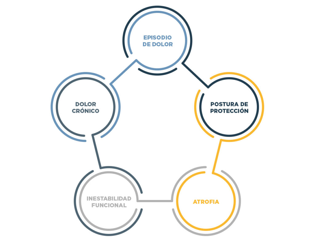 dolor-espalda-grafica-wunder-training