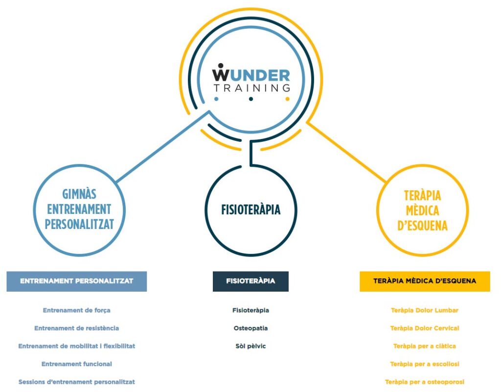 08-01-21-grafico-cat