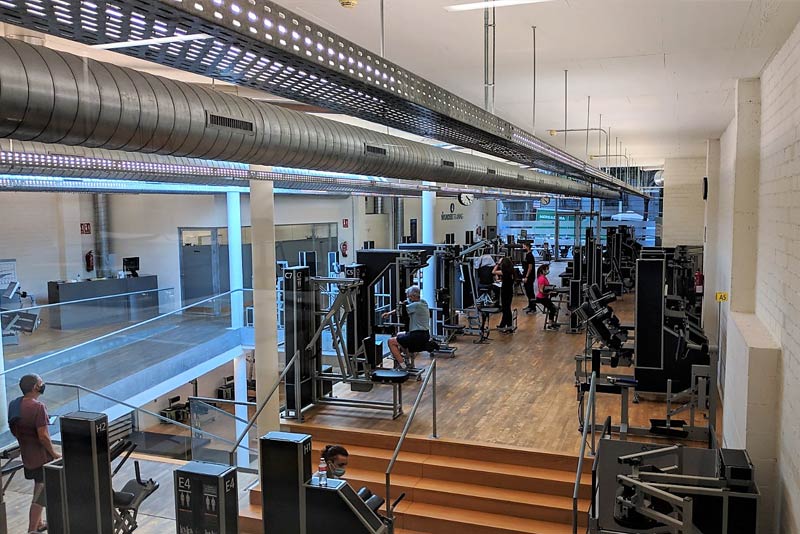 WT-recorrido-por-wunder-training-destacada