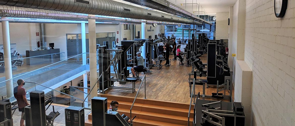 Un recorrido por Wunder Training