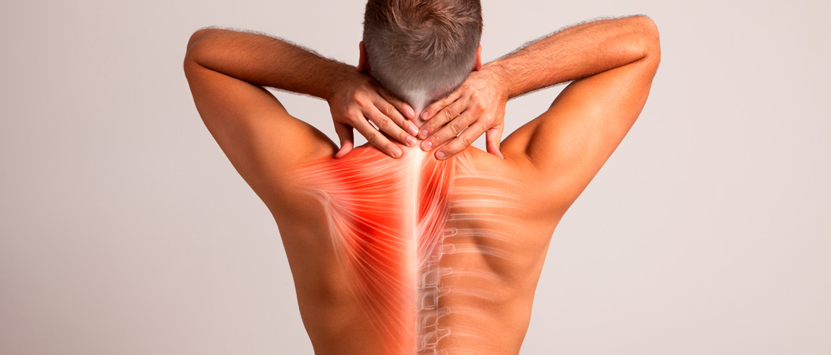 ¿Cómo tener una espalda sana y sin dolor?