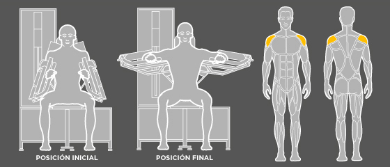 Ejercicios-elevacion-lateral