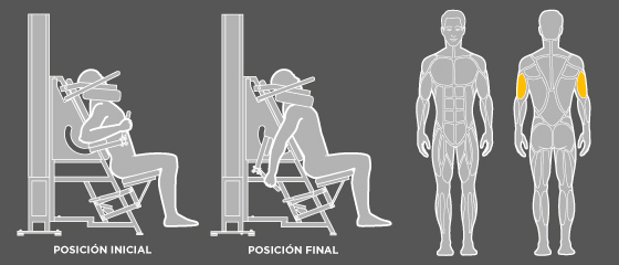 Ejercicios-triceps