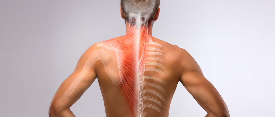 Exercicis per enfortir el core i millorar o prevenir el dolor d’esquena.