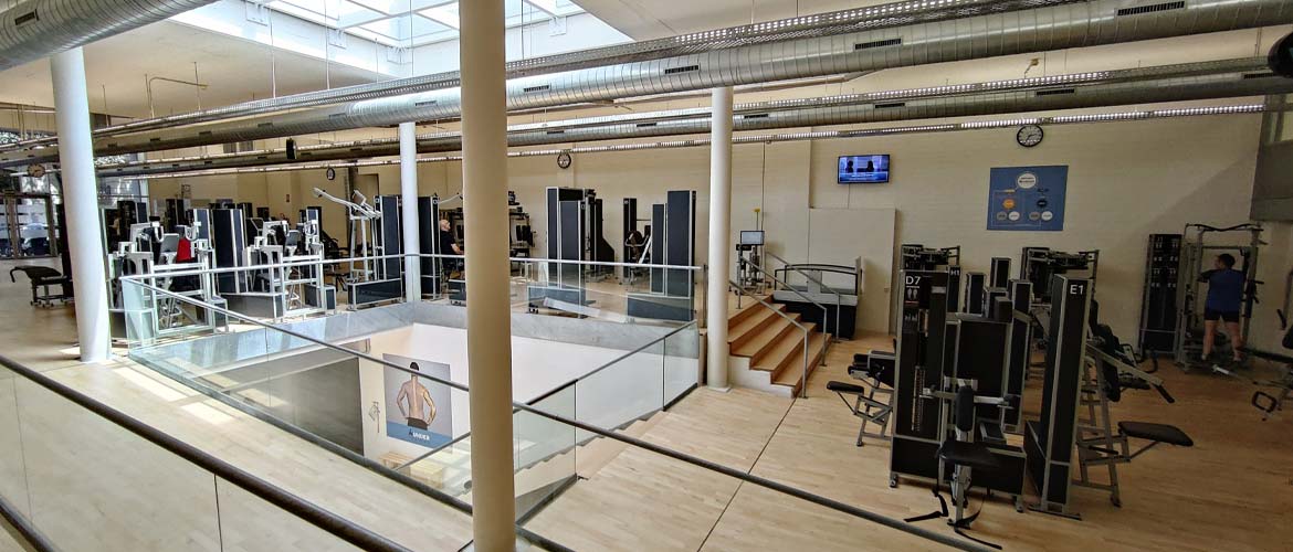 Importancia de la fuerza muscular