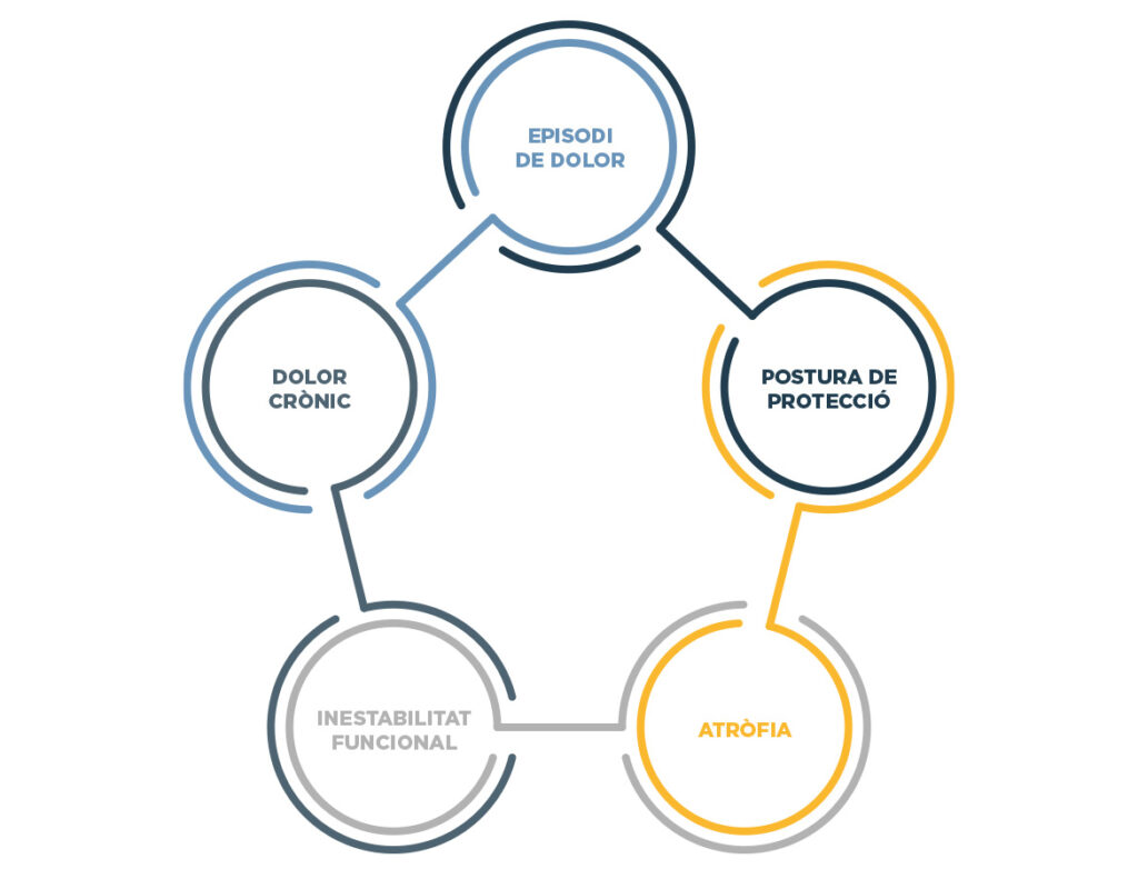 dolor-espalda-grafica-cat-wunder-training