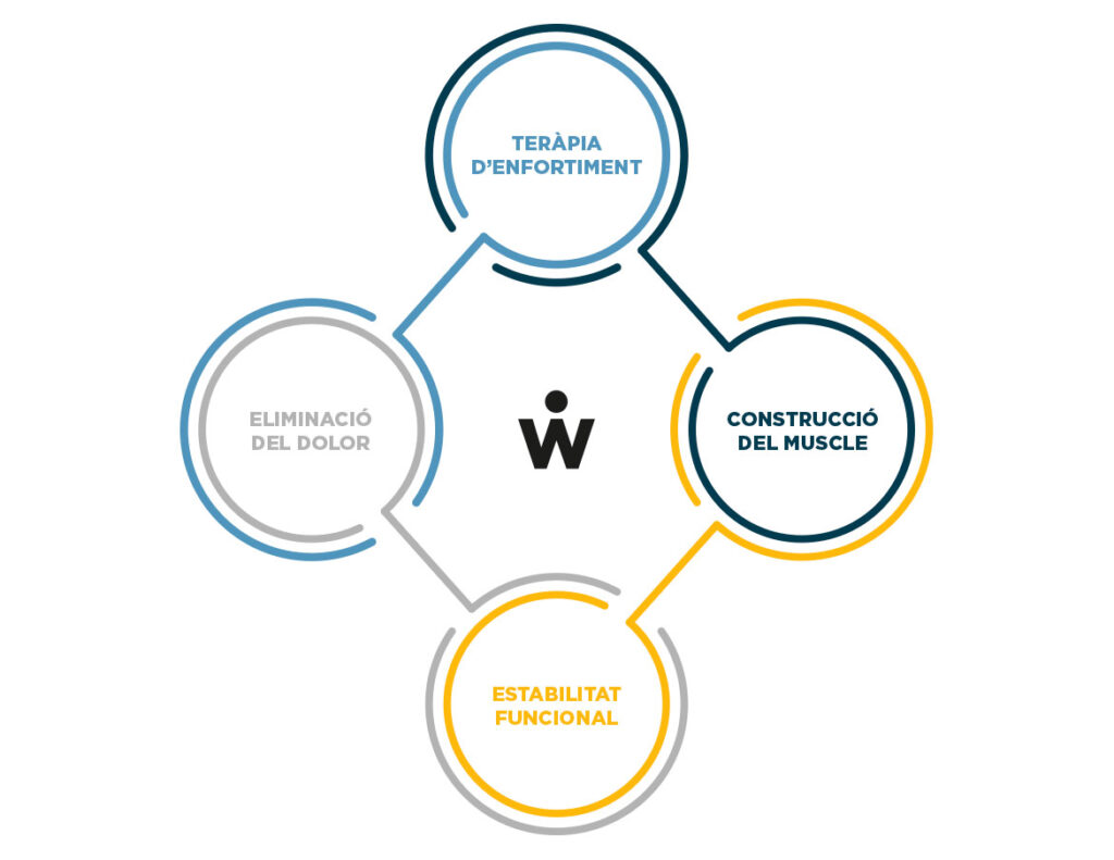 reacondicionament-grafica-wunder-training