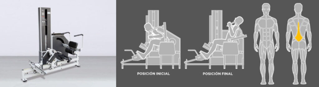 WT_F3-Extension-lumbar