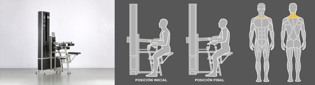 WT_G1-Elevacion-hombros
