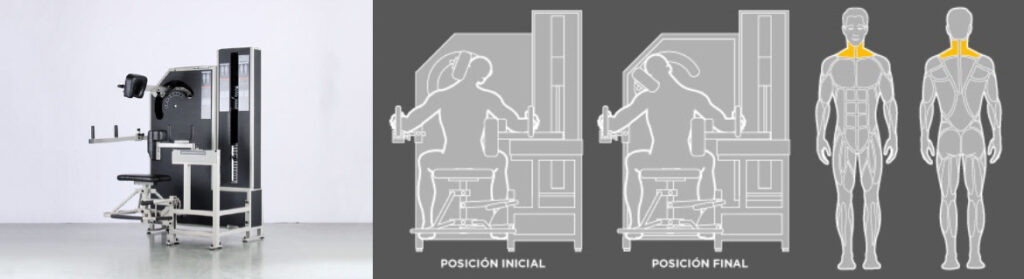 WT_g3_inclinacion-lateral-cuello