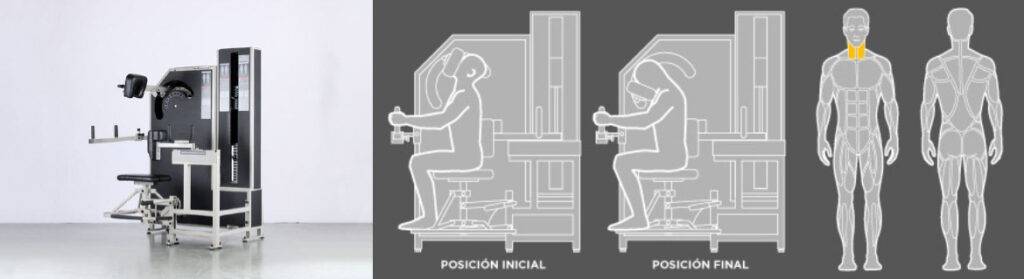 WT_g4_flexion-cuello