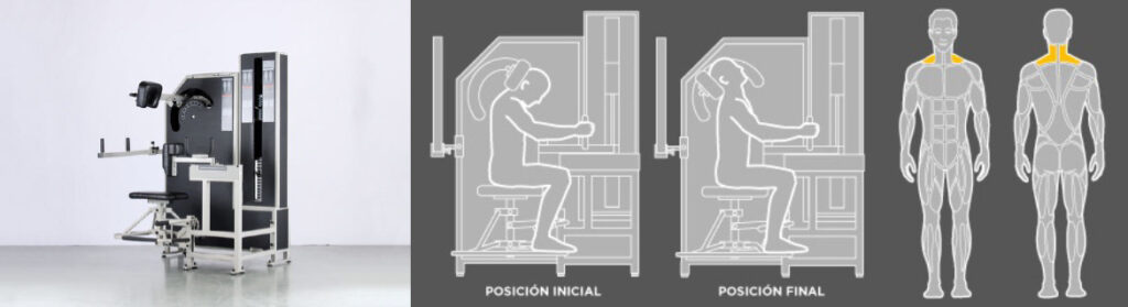 WT_g4_flexion-cuello