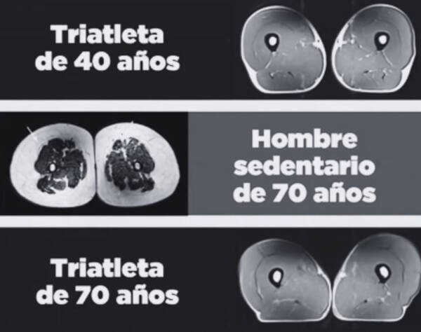 WT_Entrena-ahora-invierte-futuro_01