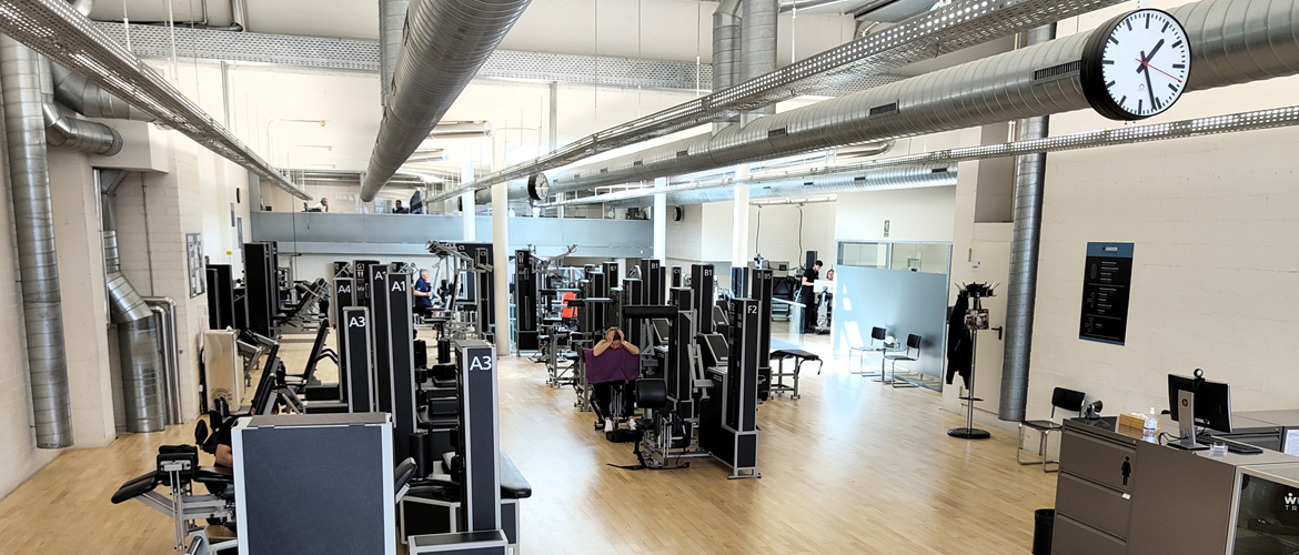 ¿Qué dicen de nosotros?